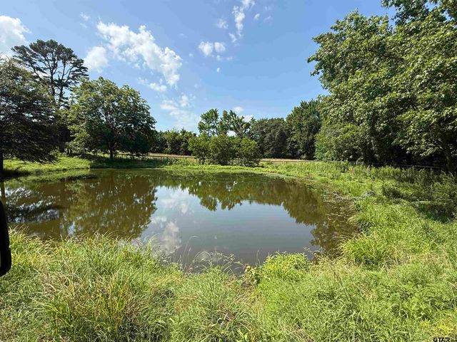 1708 SOUTH US HIGHWAY 69, Mineola, TX 75773