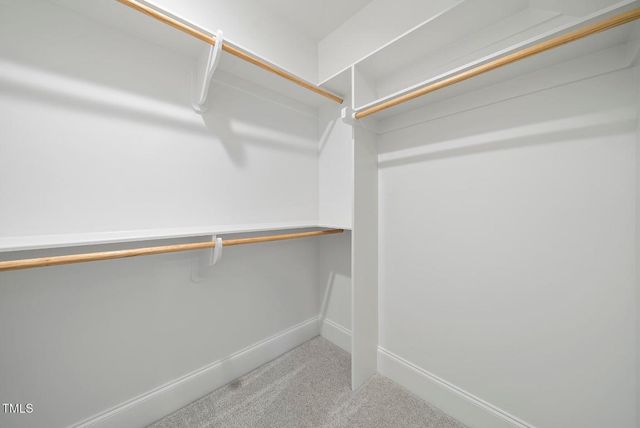 3317 Hampton Road, Raleigh, NC 27607