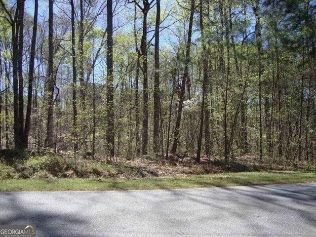 2515 SLATER MILL Road, Douglasville, GA 30135