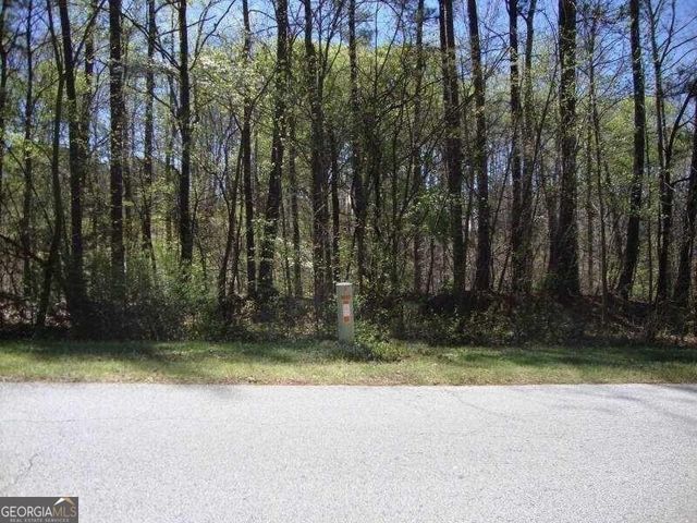 2515 SLATER MILL Road, Douglasville, GA 30135