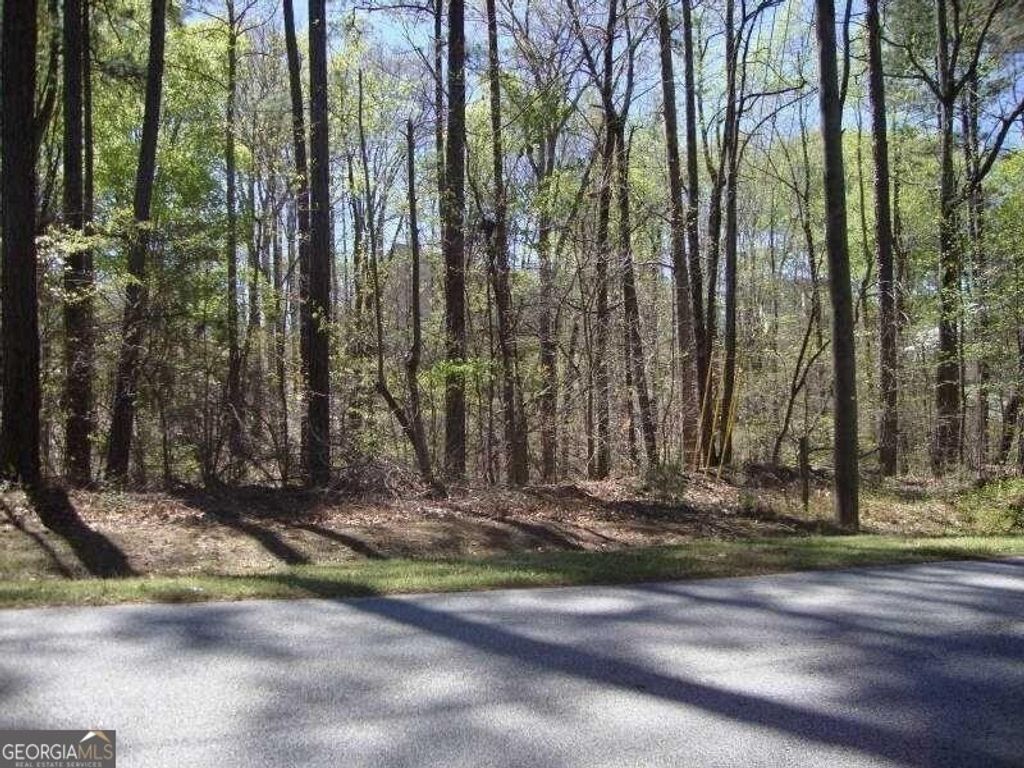 2515 SLATER MILL Road, Douglasville, GA 30135