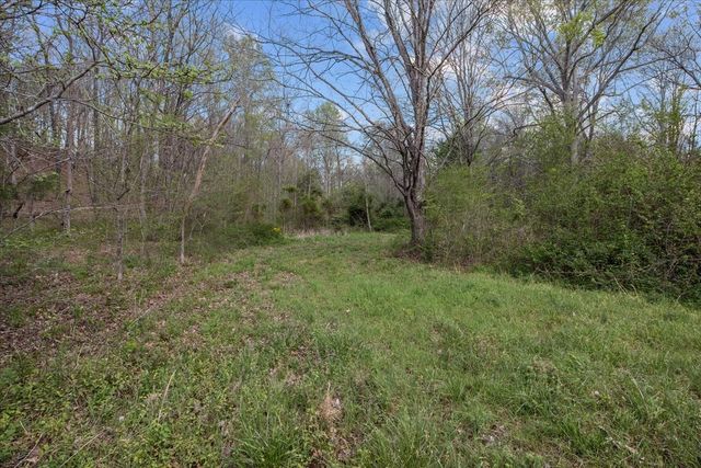0 Doe Ct, Waverly, TN 37185