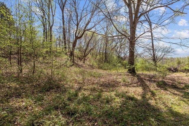 0 Doe Ct, Waverly, TN 37185