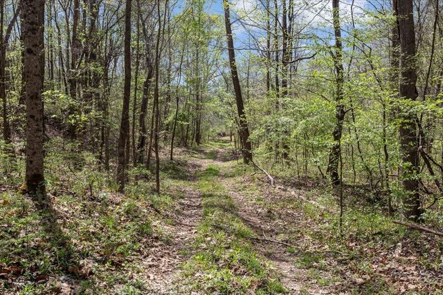 0 Doe Ct, Waverly, TN 37185
