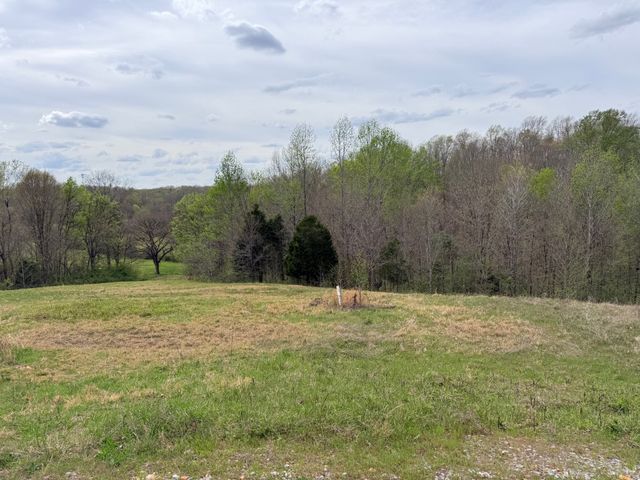 0 Doe Ct, Waverly, TN 37185