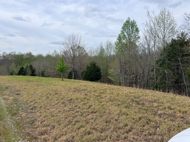 0 Doe Ct, Waverly, TN 37185