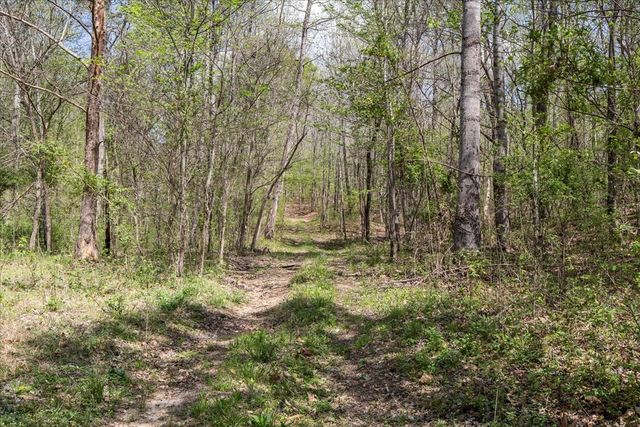 0 Doe Ct, Waverly, TN 37185
