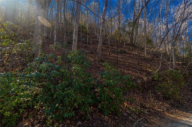 0 Fugue Drive, Ellijay, GA 30540