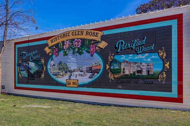 1334 Co Rd 2019, Glen Rose, TX 76043