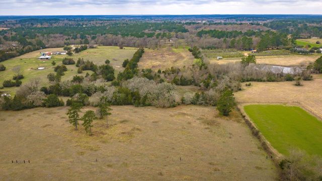 24784 Bailey Grove Rd, Montgomery, TX 77356