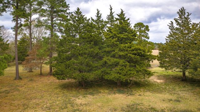 24784 Bailey Grove Rd, Montgomery, TX 77356