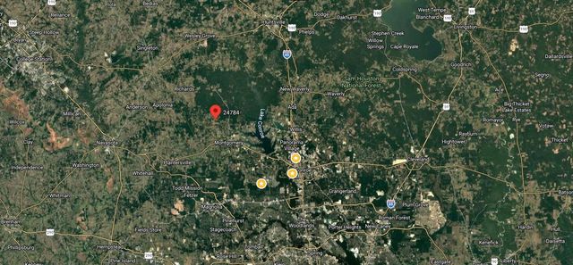 24784 Bailey Grove Rd, Montgomery, TX 77356