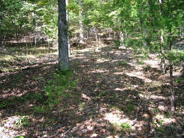 001-00225-001 MC 6062, Flippin, AR 72634