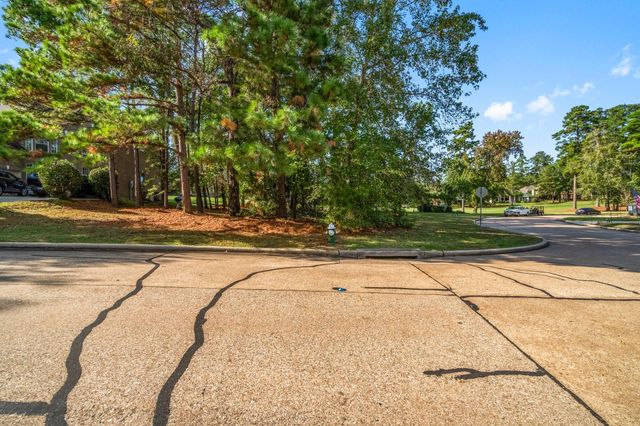 3 West Shore Lane, Montgomery, TX 77356