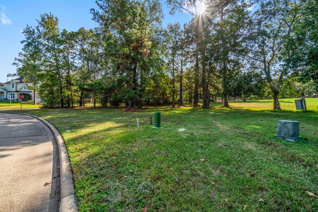 3 West Shore Lane, Montgomery, TX 77356