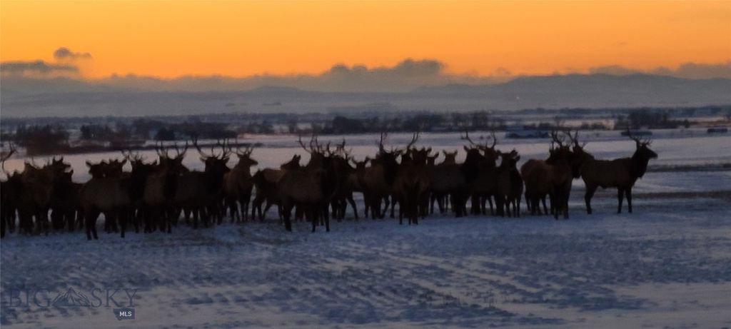 4150 Penwell Bridge Road Road, Belgrade, MT 59714 photo 12