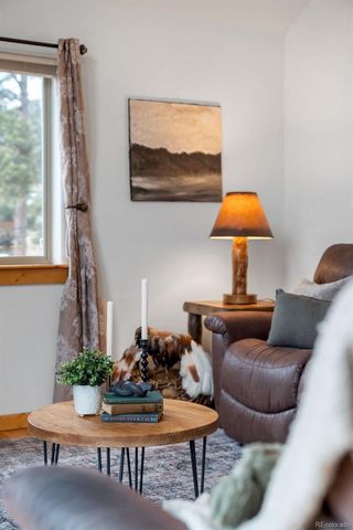 34 S Circle Drive, Bailey, CO 80421