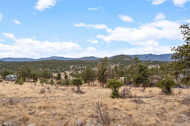 34 S Circle Drive, Bailey, CO 80421