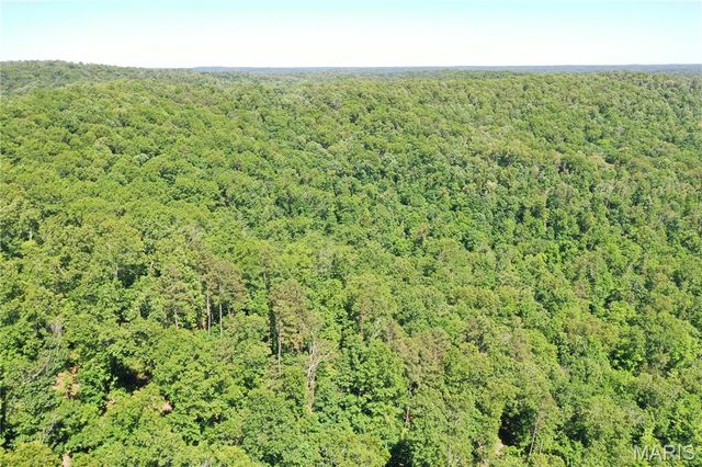 TBD Big Barren Creek RD, Van Buren, MO 63965