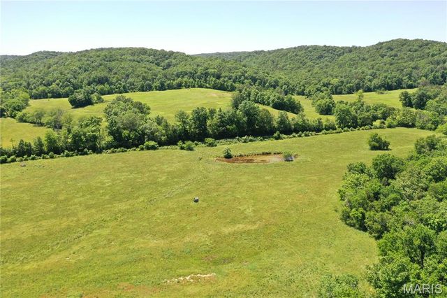 TBD Big Barren Creek RD, Van Buren, MO 63965
