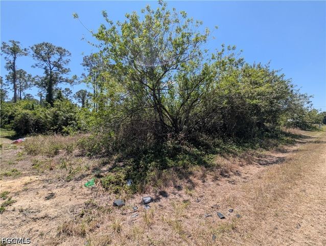 1009 Butler ST E, Lehigh Acres, FL 33974