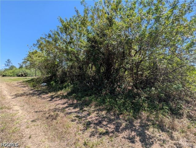 1009 Butler ST E, Lehigh Acres, FL 33974