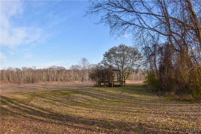 13593 Riverbend, Moundville, AL 35474