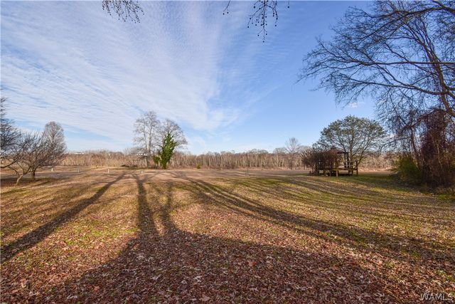 13593 Riverbend, Moundville, AL 35474