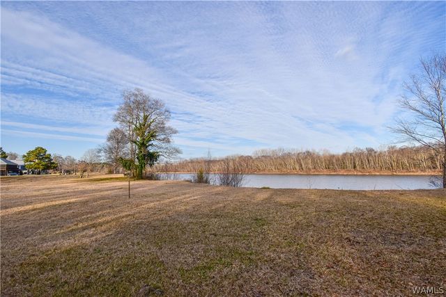 13593 Riverbend, Moundville, AL 35474