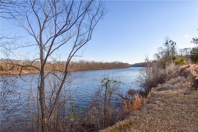 13593 Riverbend, Moundville, AL 35474