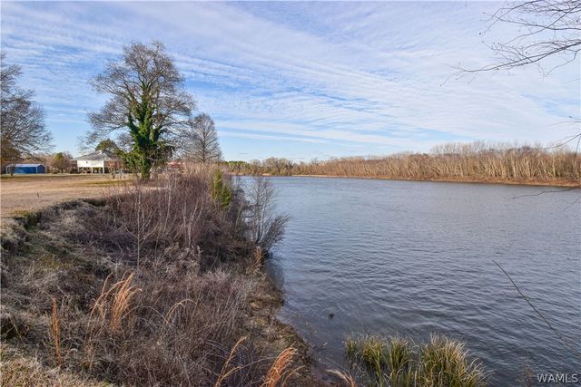 13593 Riverbend, Moundville, AL 35474