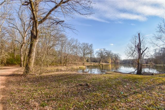 13593 Riverbend, Moundville, AL 35474