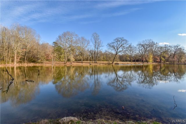 13593 Riverbend, Moundville, AL 35474