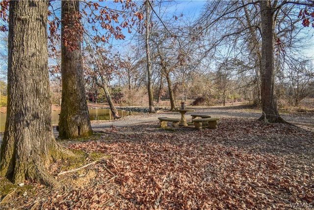 13593 Riverbend, Moundville, AL 35474