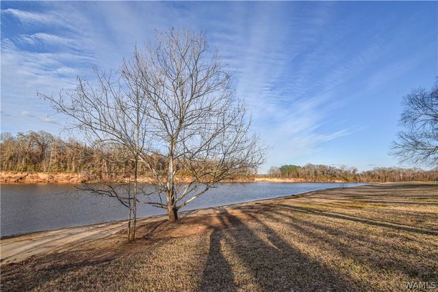 13593 Riverbend, Moundville, AL 35474