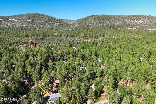 5199 N HICKS Drive, Strawberry, AZ 85544