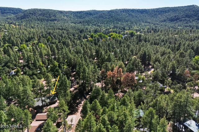 5199 N HICKS Drive, Strawberry, AZ 85544