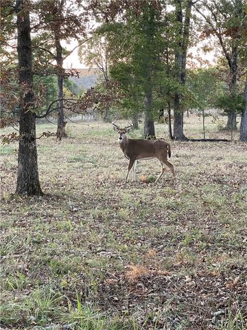 2820 County Road 207, Eureka Springs, AR 72632