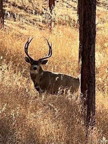 4619 Mohawk Drive, Larkspur, CO 80118