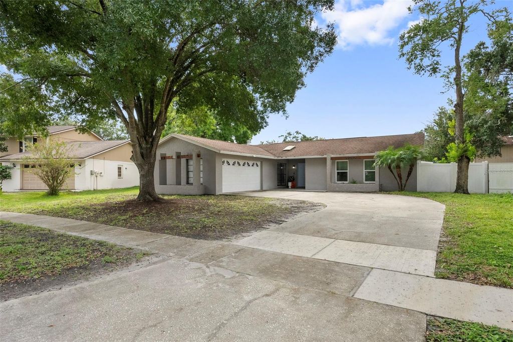 4010 BRAESGATE LANE, Tampa, FL 33624