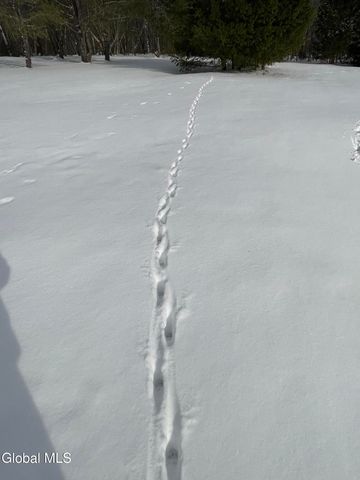 382 Old Road, Grafton, NY 12052