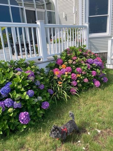 48 Valley Beach Ave 3, Hull, MA 02045