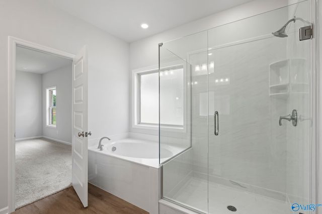 131 Hillis Lane, Hazel Green, AL 35750