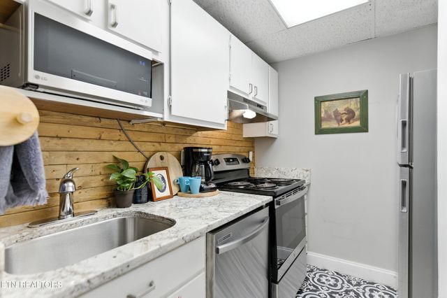 102 Baskins Creek 207, Gatlinburg, TN 37738