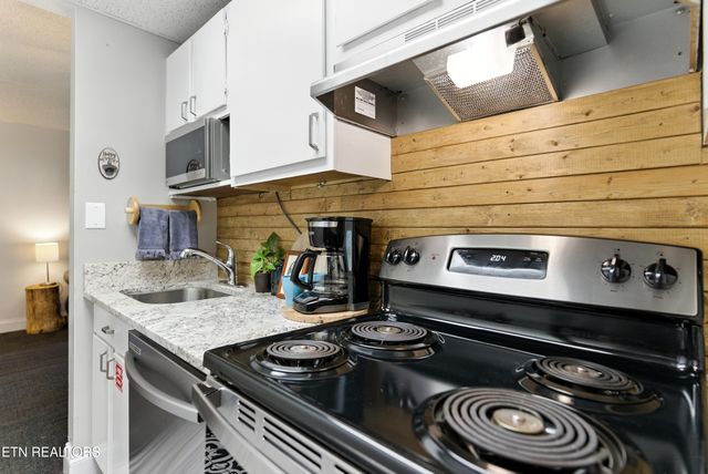 102 Baskins Creek 207, Gatlinburg, TN 37738