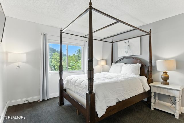 102 Baskins Creek 207, Gatlinburg, TN 37738