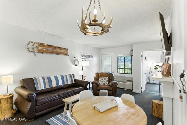 102 Baskins Creek 207, Gatlinburg, TN 37738