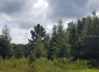 0 EMERALD TRAIL RUN, Ocala, FL 34472