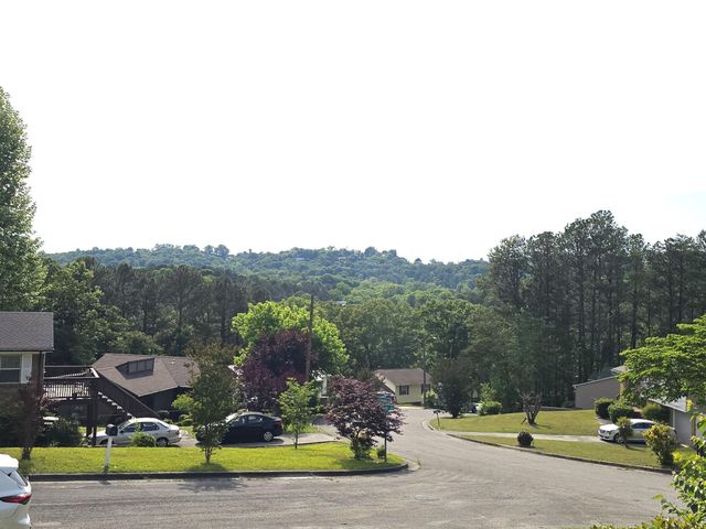 204 Tupelo Court, Chattanooga, TN 37407