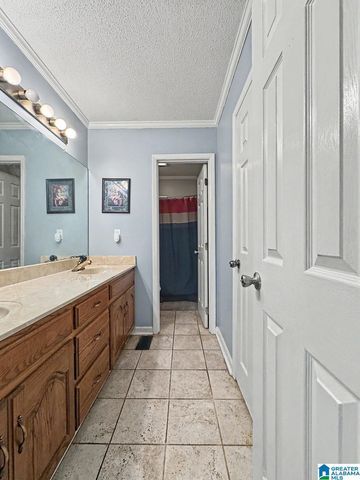 346 LYNN DRIVE, Mulga, AL 35118